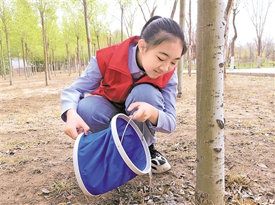 王施羽在银川市宝湖公园雷锋林给她种的树浇水、培土。      本报记者 智慧 摄