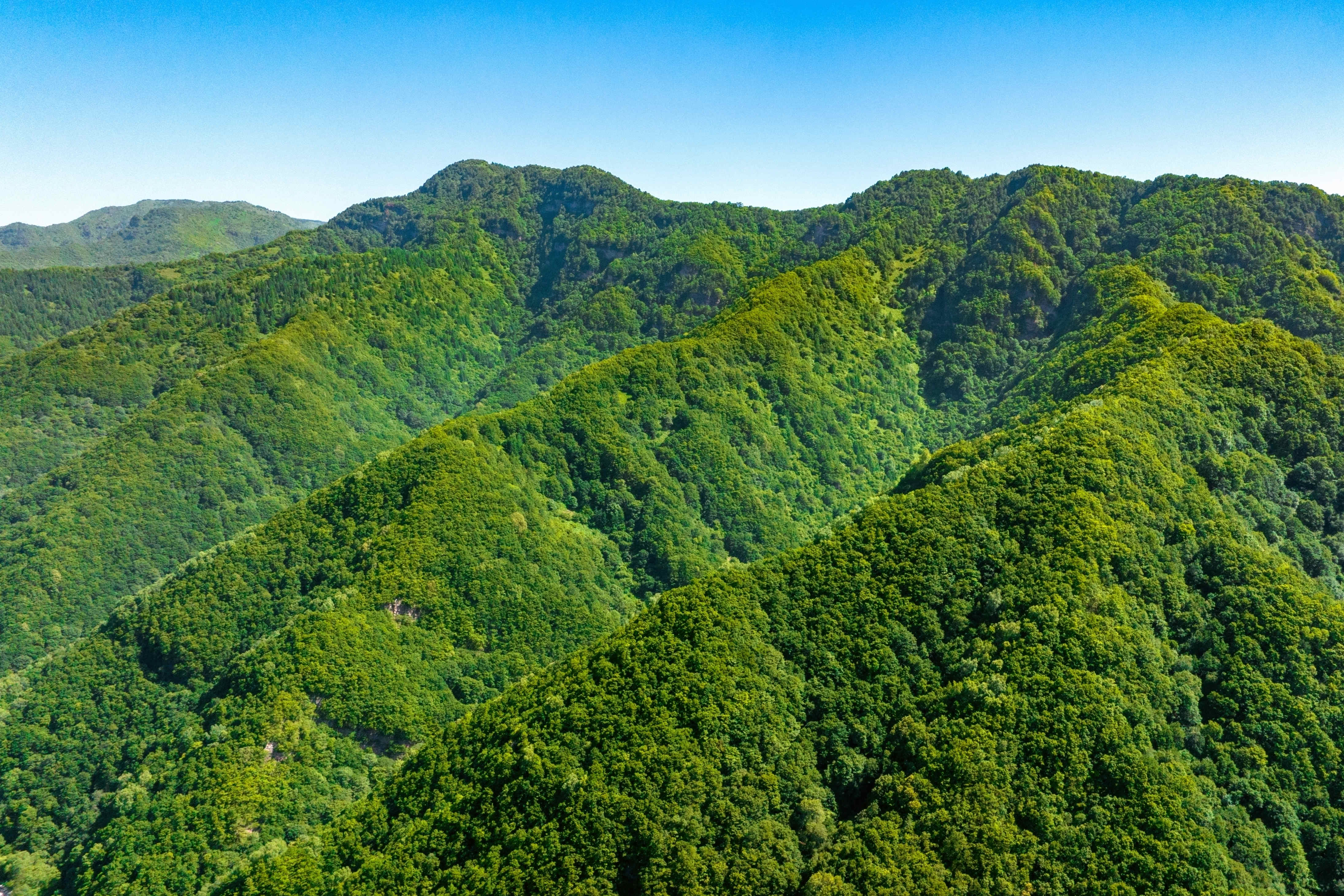 DJI_0431.jpg