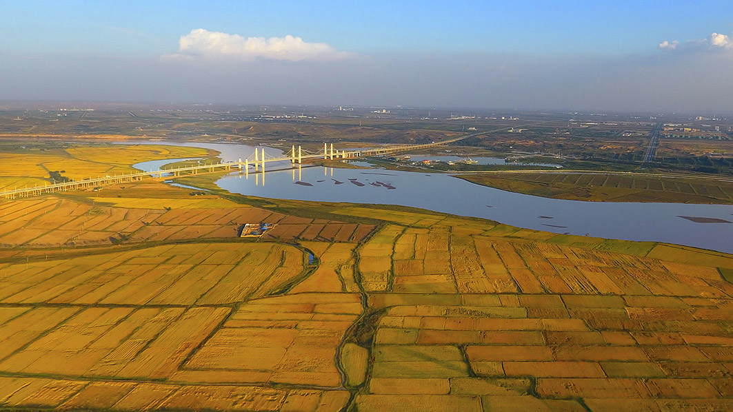 136黄河岸边丰收景-田满潮.jpg