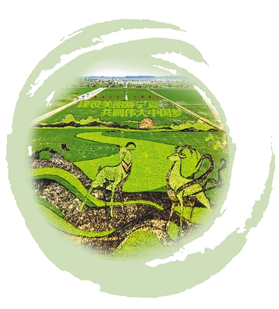 <p>　　贺兰县稻渔空间生态休闲观光园，稻田“画卷”更加靓丽。　　　　本报记者　党硕　摄</p>