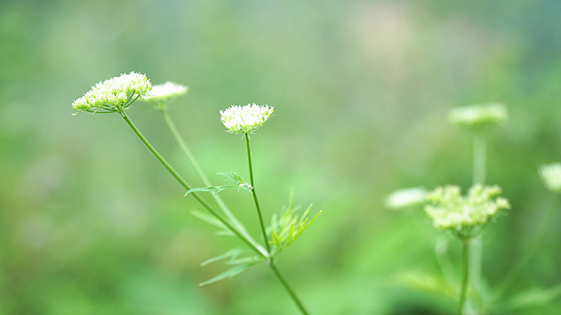 DSC00886_副本.jpg