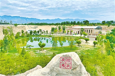     贺兰山采矿塌陷区如今已变成了葡萄绿洲。