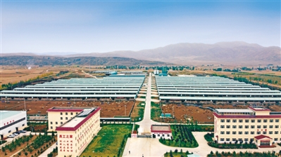 <p>　　曹洼乡华润肉牛育肥基地。</p>
