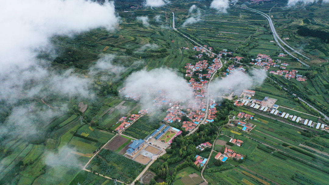 DJI_0101.png